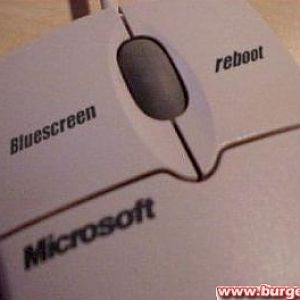 Die erste Microsoft Maus