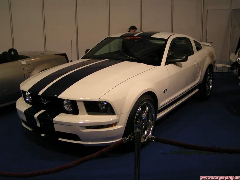 Mustang :D