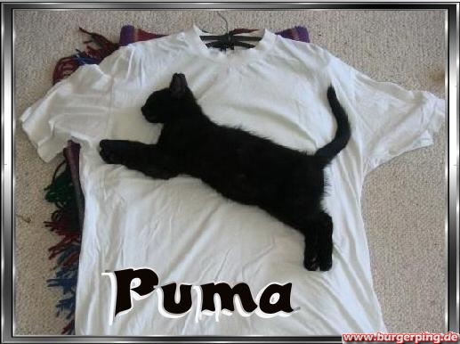 Püüüüma