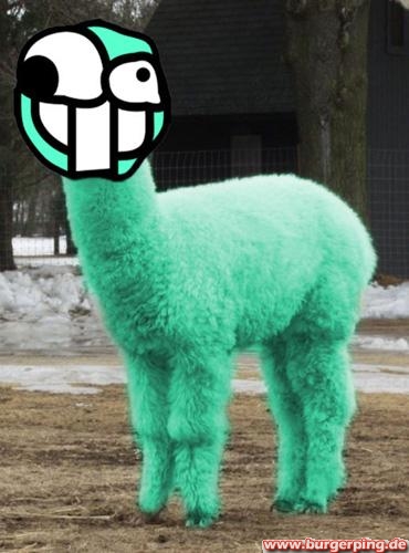 uglylama